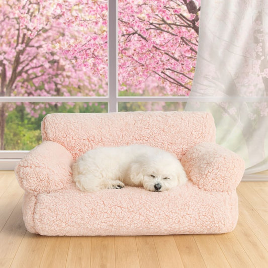 Bichon blotti sur un canapé chien rose et douillet