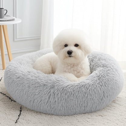 Petit bichon assis sur un coussin pour chien moelleux et confortable