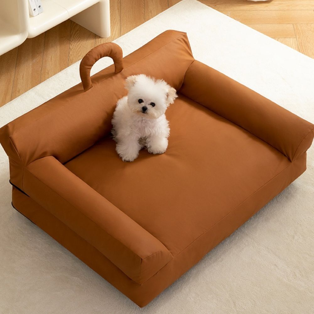 Bichon blanc assis sur un fauteuil pour chien en tissu au design moderne
