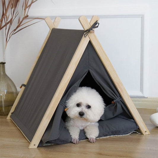 bichon-observe-depuis-son-tipi-pour-chien