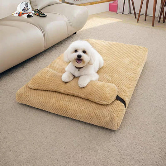  bichon tient ses pattes sur oreiller du lit orthopédique chien, regard fixe