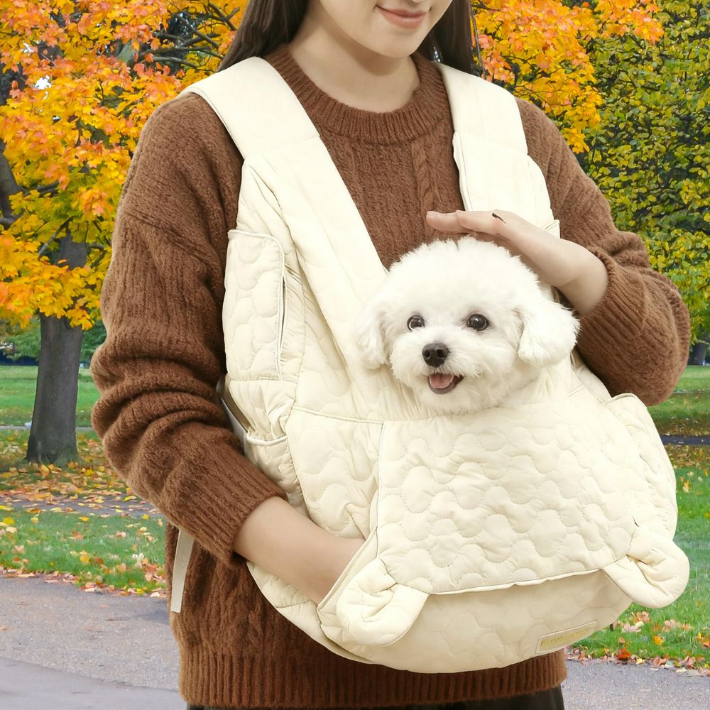 Bichon installé confortablement dans un sac ventral pour chien lors d’une promenade au parc