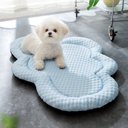 Bichon installé confortablement sur un tapis rafraîchissant chien doux et pratique