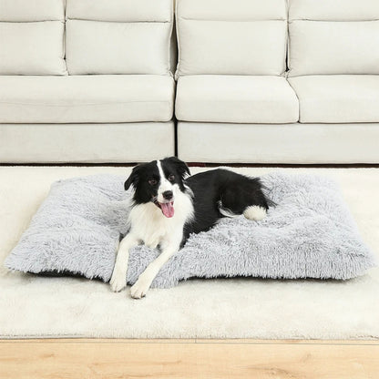 Border Collie confortablement installé sur un coussin pour chien douillet et moelleux