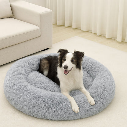 Border Collie détendu, allongé sur un coussin pour chien relaxant