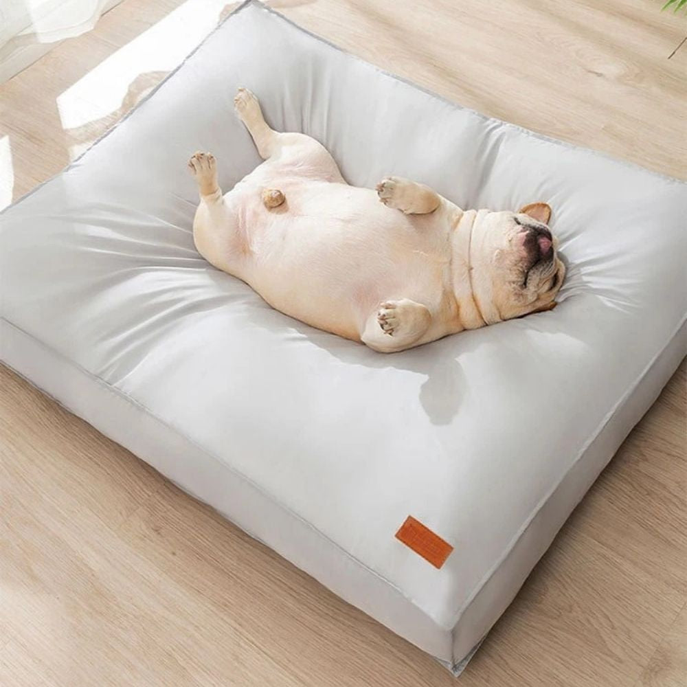 Bouledogue allongé sur le dos dort profondément sur un tapis chien apaisant