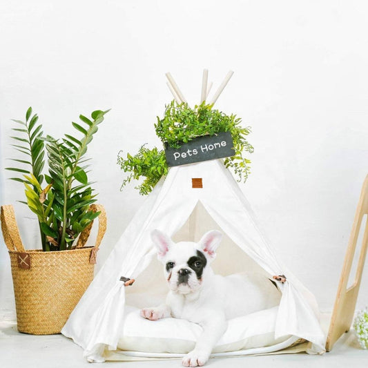 bouledogue-francais-dans-son-confort-tente-chien