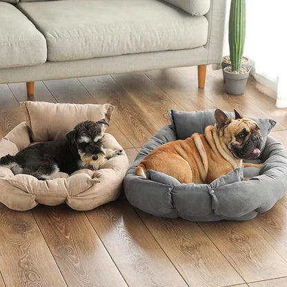 Bouledogue et schnauzer chacun dans son panier chien, moment de détente apaisante