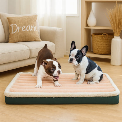 Deux petits bouledogues jouent sur un matelas orthopédique chien, antidérapant