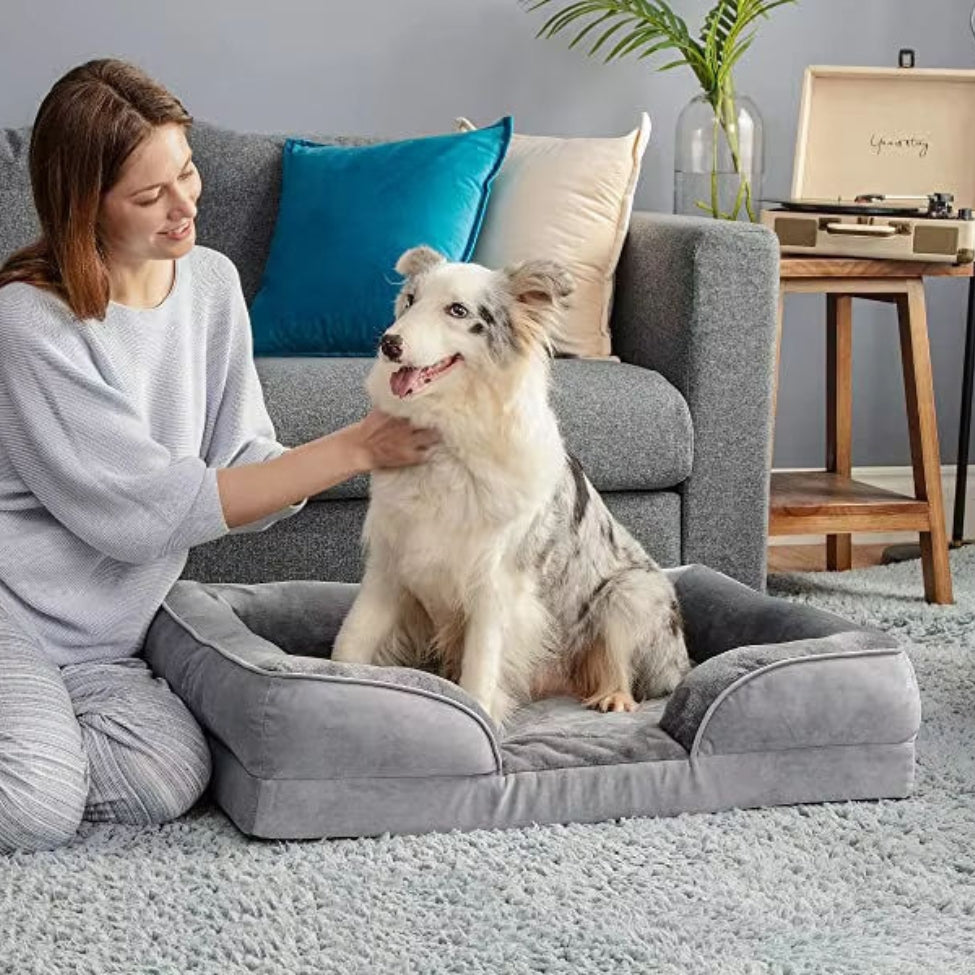 canape-chien-bonheur-pour-animal-oya
