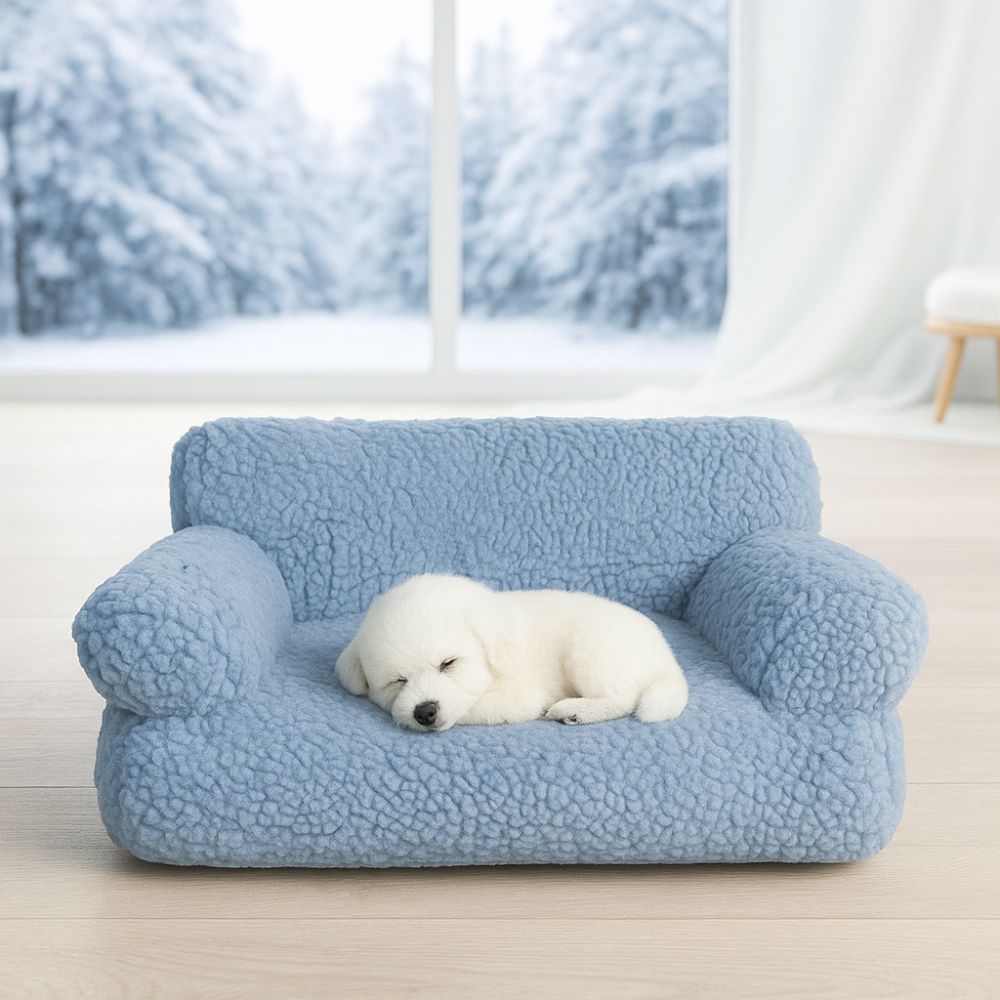 Petit chiot blanc endormi sur un canapé chien bleu, couchage douillet et apaisant