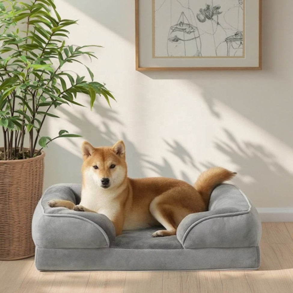 canape-chien-elegant-pour-interieur-oya