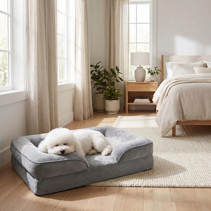 Bichon endormi dans un canapé chien orthopédique gris, chambre lumineuse