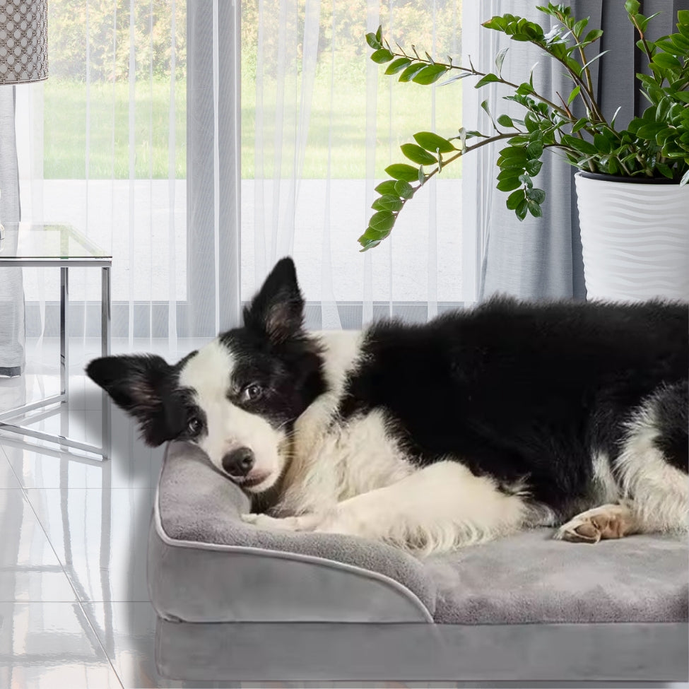 canape-chien-reposant-oya