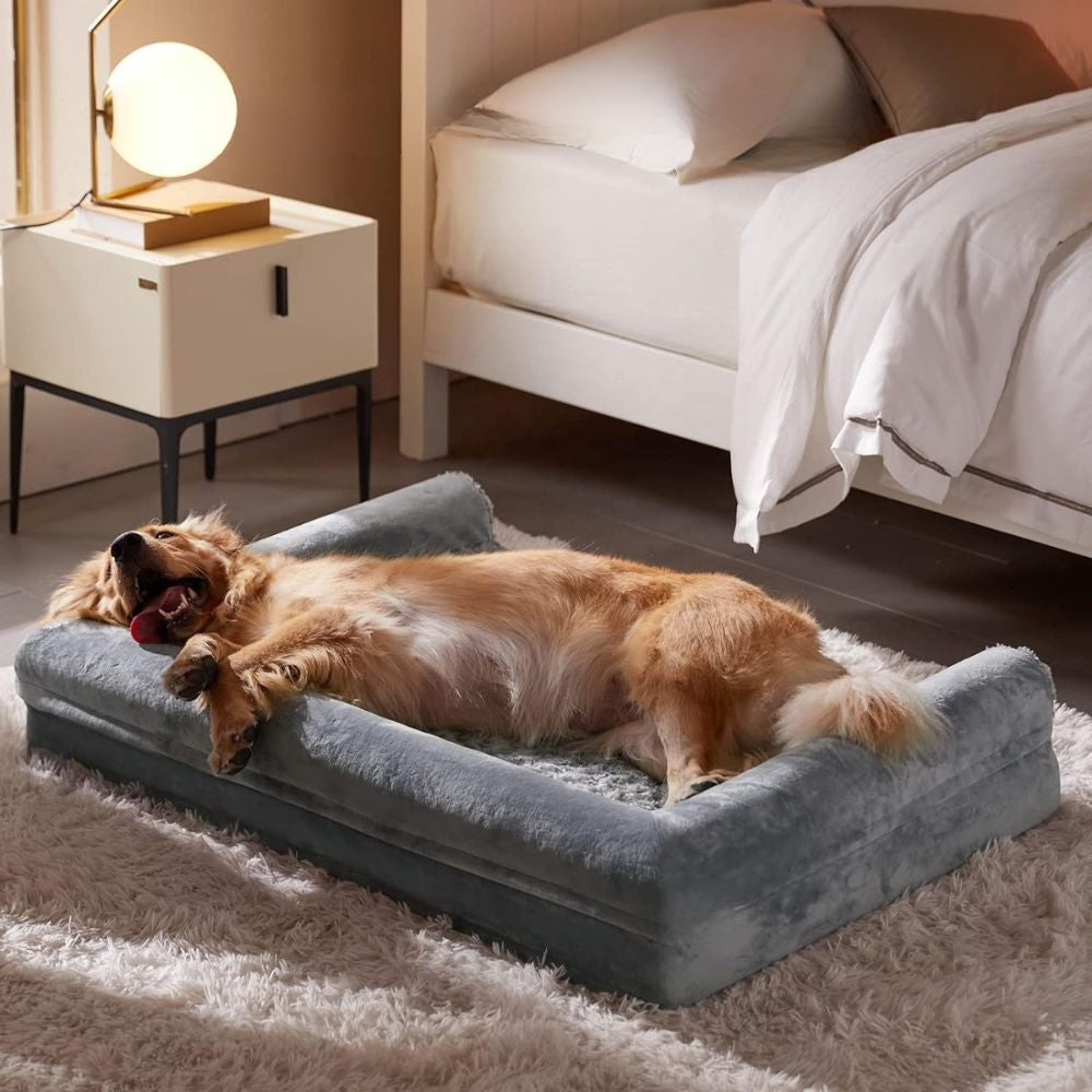 Golden endormi profondément sur un canapé lit pour chien apaisant et confortable