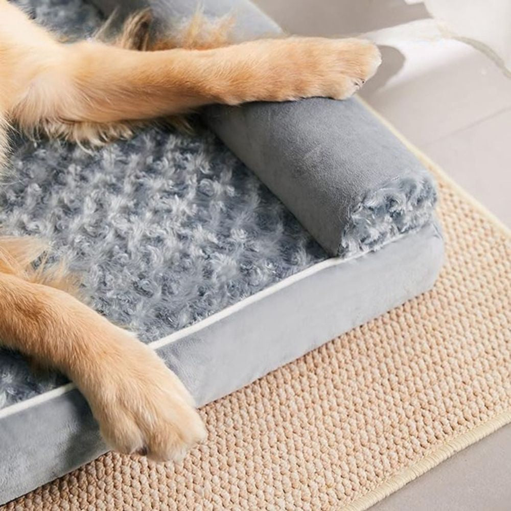 Pattes de chien reposées sur le bord d’un canapé lit pour chien confortable