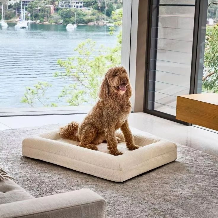 canape-pour-chien-toutes-saisons
