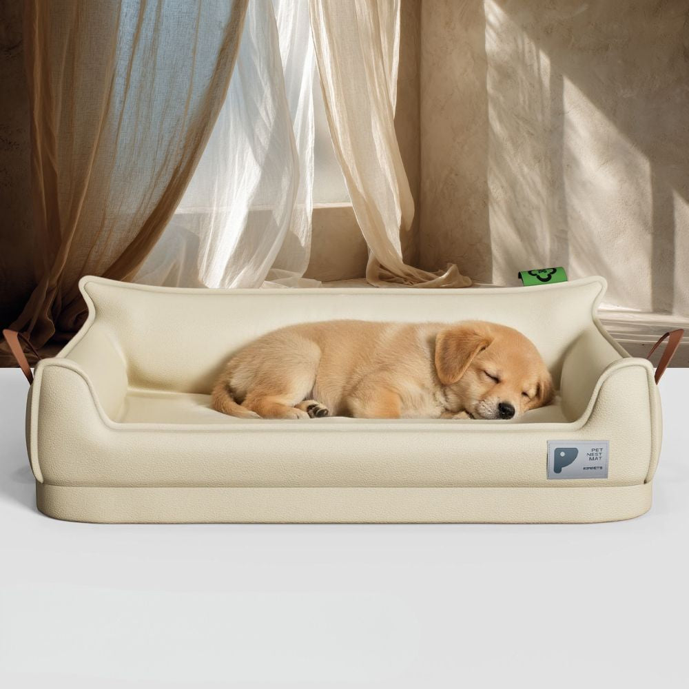 Petit chiot endormi sur un canapé pour chien confortable, vue d’en face