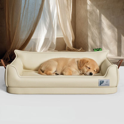 Petit chiot endormi sur un canapé pour chien confortable, vue d’en face