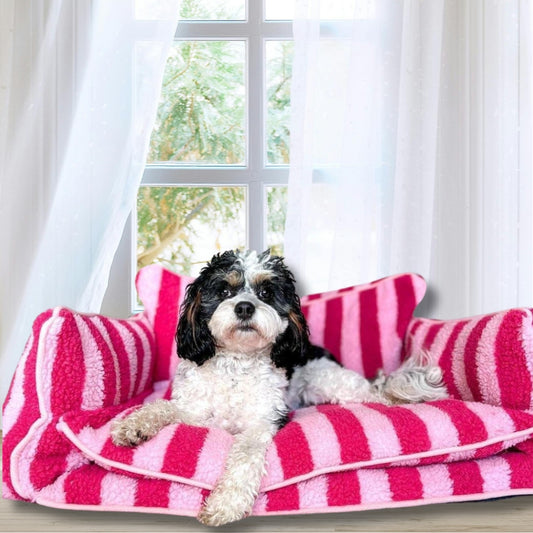 canape pour chien confort optimal paris