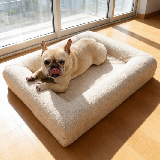 Bouledogue français couché dans un canapé pour chien près d’une fenêtre