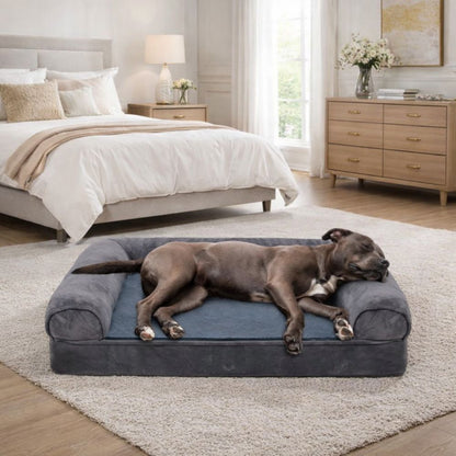 Pitbull dort paisiblement sur un canapé pour chien xxl placé dans une chambre calme