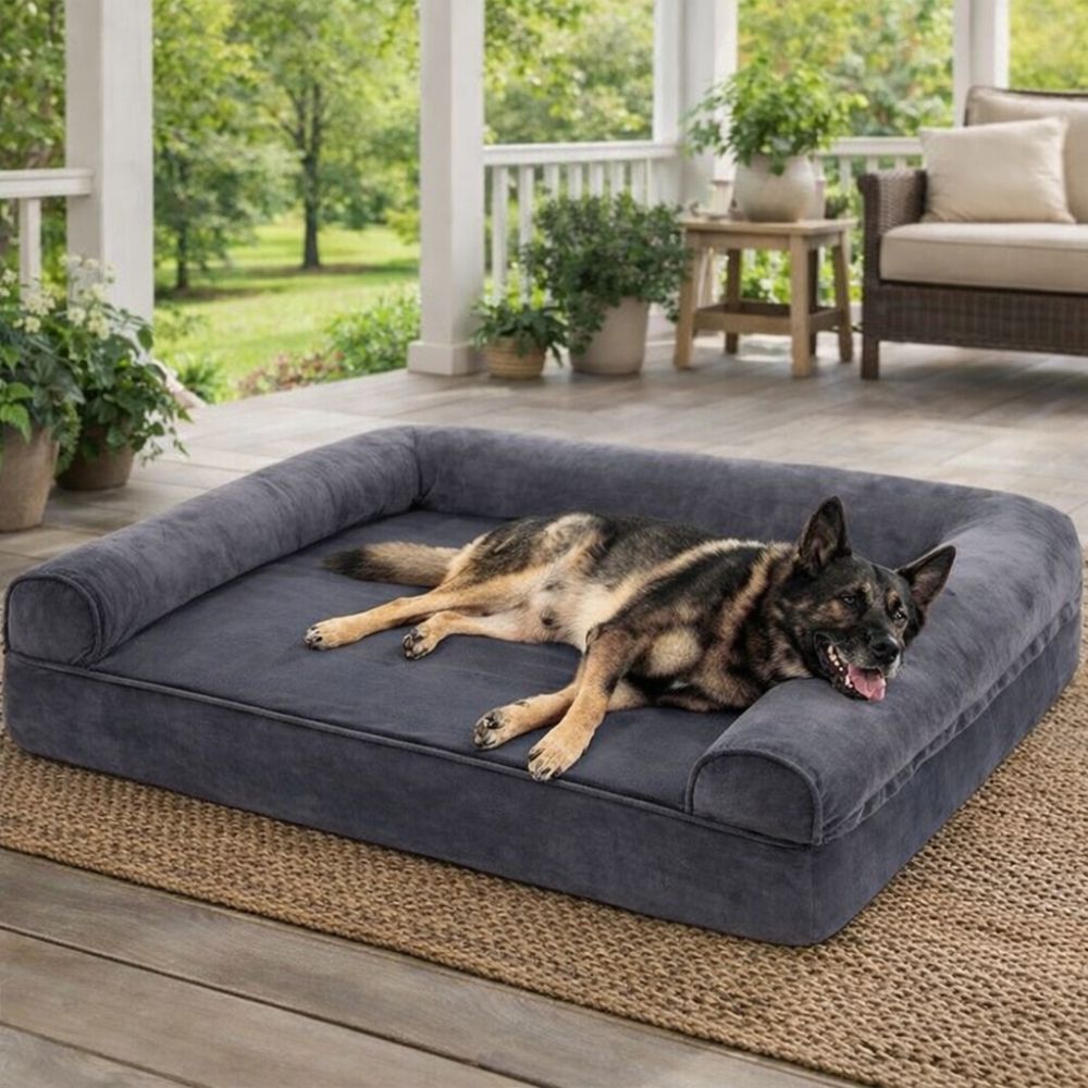 Canapé pour chien xxl utilisé sur une terrasse couverte, offrant confort et maintien à un malinois