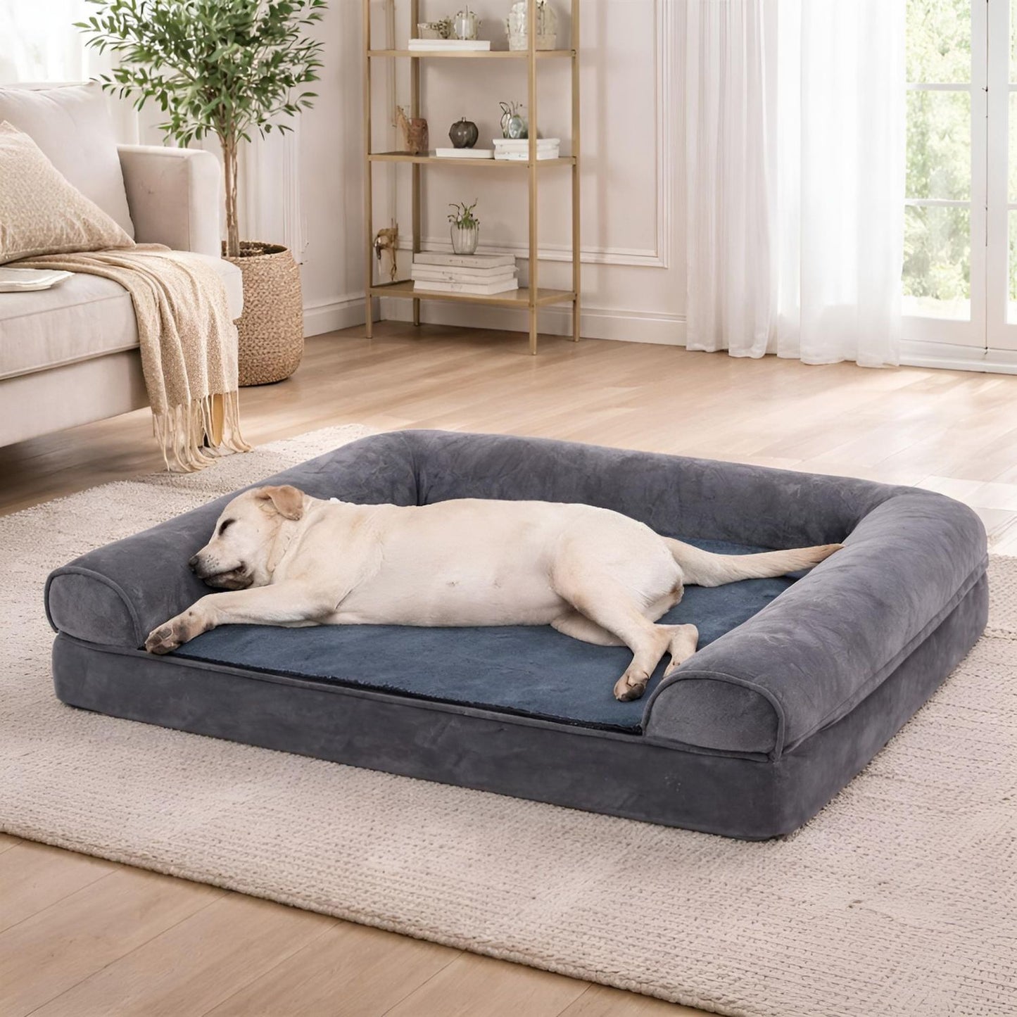 Canapé pour chien xxl avec rebords moelleux permettant à un labrador de s’étendre confortablement 