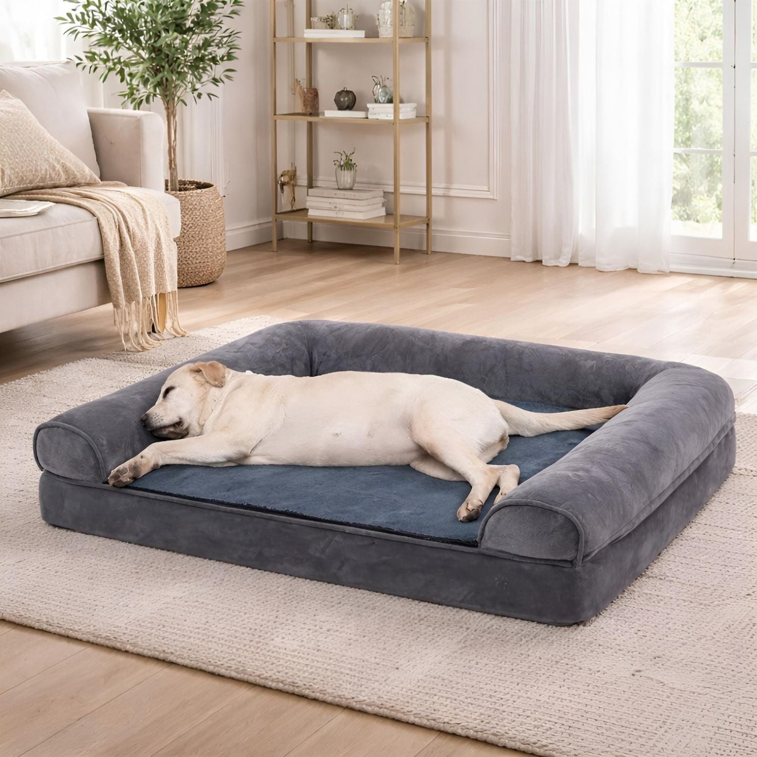 Canapé pour chien xxl avec rebords moelleux permettant à un labrador de s’étendre confortablement 