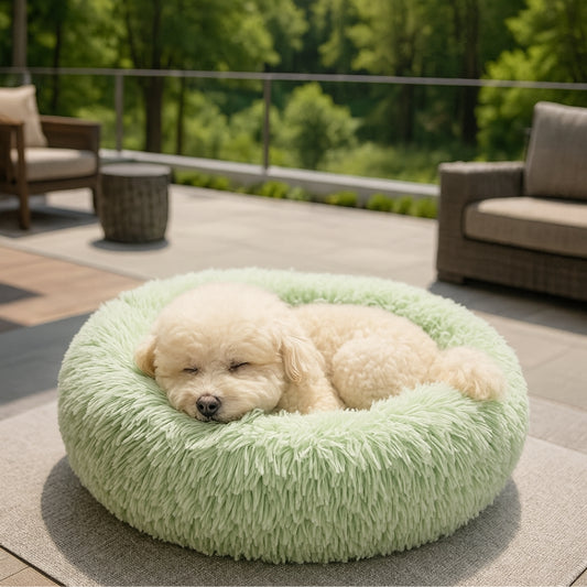 caniche-blanc-dort-dans-son-coussin-pour-chien