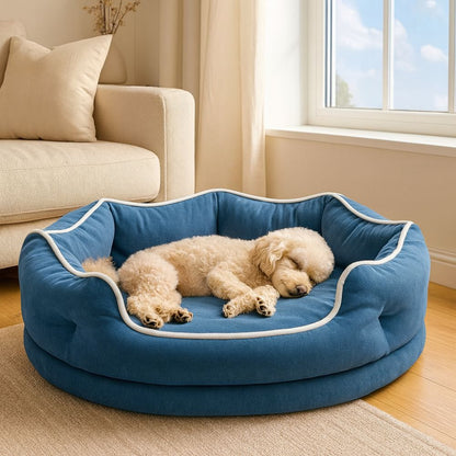 Caniche blotti contre les bords surélevés d’un panier chien enveloppant