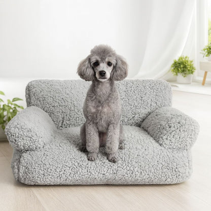 Caniche gris assis sereinement sur un canapé chien gris, assise moelleuse et confortable