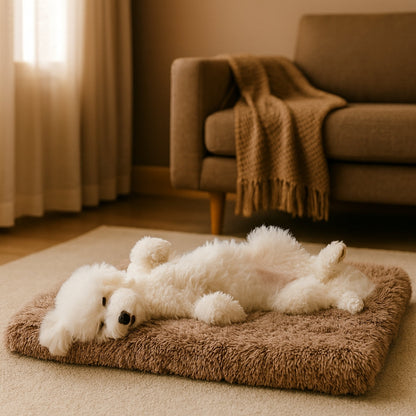 Caniche dort paisiblement sur un matelas pour chien à mémoire de forme 
