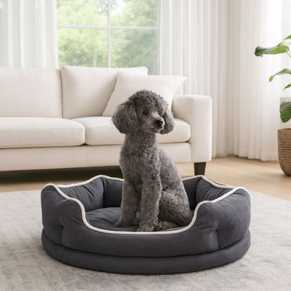 Caniche observe, assis dans un panier chien chic qui sublime le salon ensoleillé