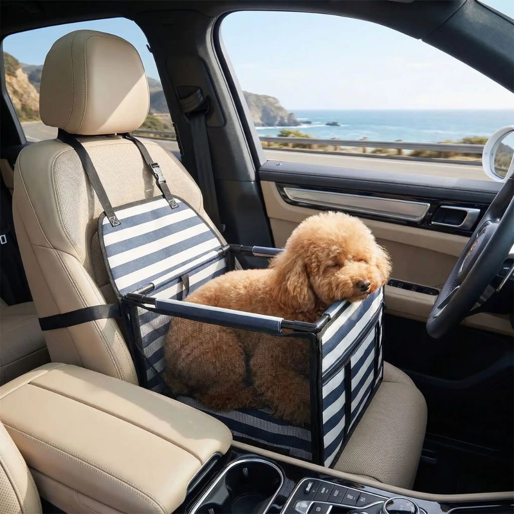Caniche abricot somnole sur le bord d’un panier chien voiture à rayures bleu et blanc pendant un trajet