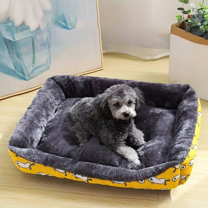 Caniche regard vers le haut, rassuré dans un panier à chien douillet