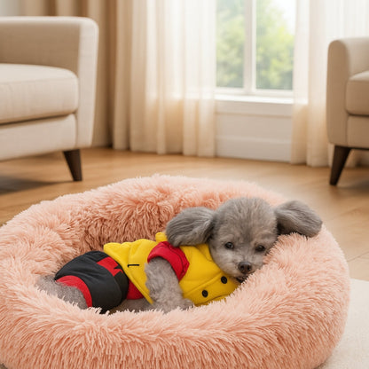 Un petit caniche somnole dans son coussin chien relaxant
