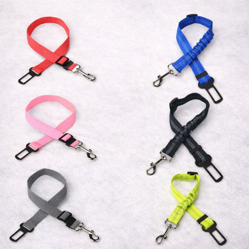 ceinture de sécurité pour chien différentes couleurs et modèles présentés sur fond clair