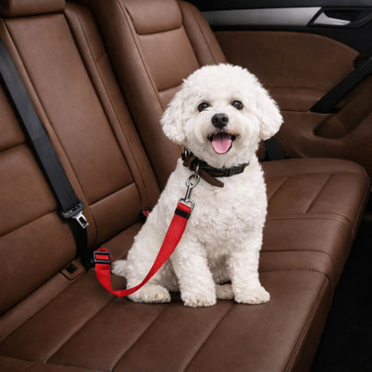 bichon attaché avec ceinture de sécurité pour chien rouge sur siège arrière cuir voiture
