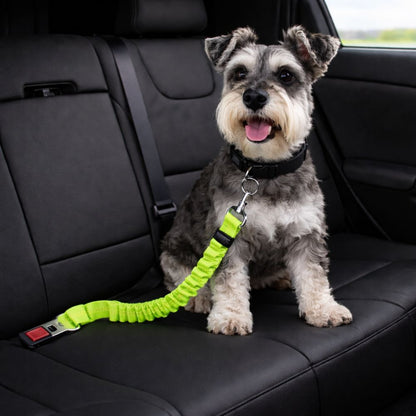 schnauzer attaché avec ceinture de sécurité pour chien vert fluo sur siège voiture