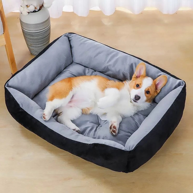 Chien allongé tête levée dans un panier pour chien, air serein