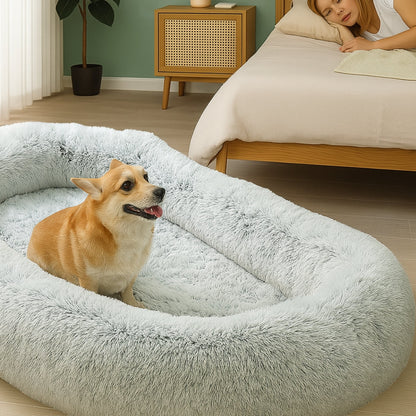Chien attend calmement dans un lit pour chien XXL confortable, bords hauts