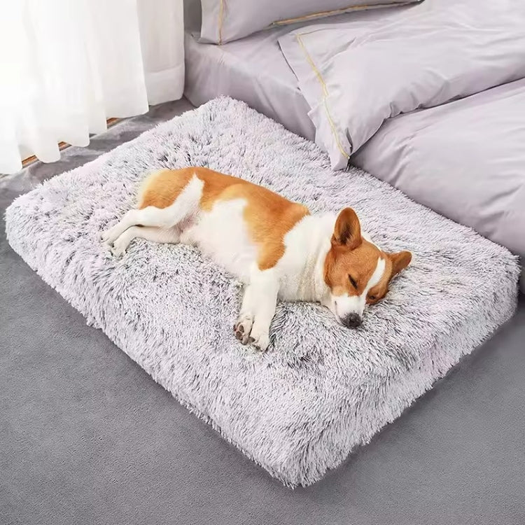 Chien dort tranquillement sur un matelas pour chien à mémoire de forme orthopédique