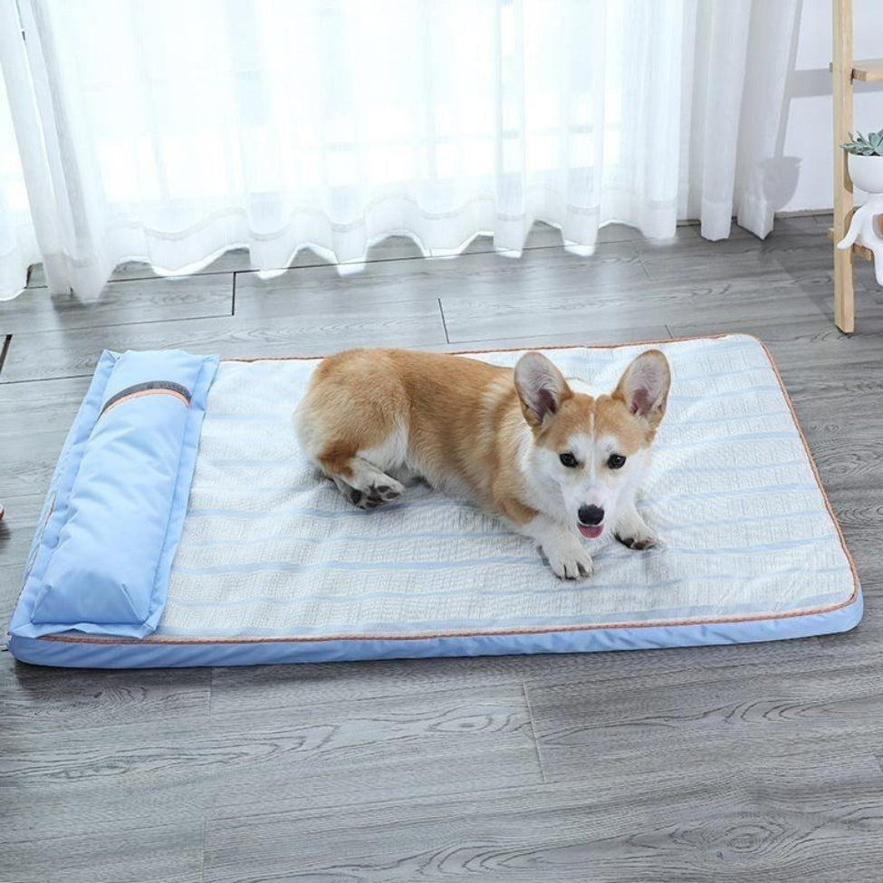 corgi installe confortablement sur matelas rafraichissant pour chien