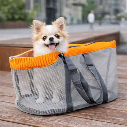 Petit chihuahua installé dans un sac pour chien ventilé et confortable posé sur une plateforme