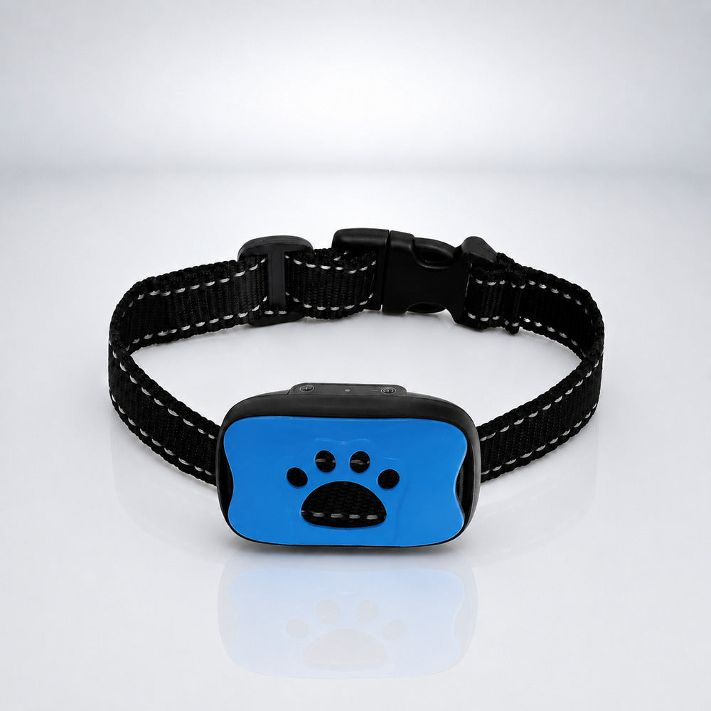 Collier anti aboiement chien bleu sur fond studio bleu clair