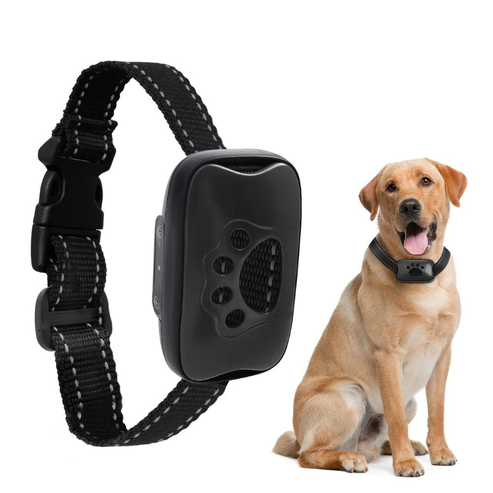 Collier anti aboiement chien noir design discret et confortable pour usage quotidien