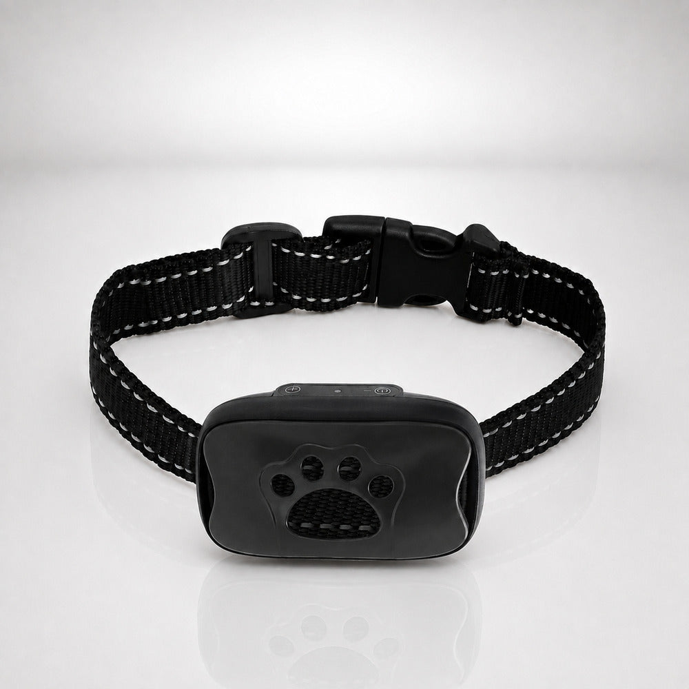Collier anti aboiement chien noir sur fond studio gris clair
