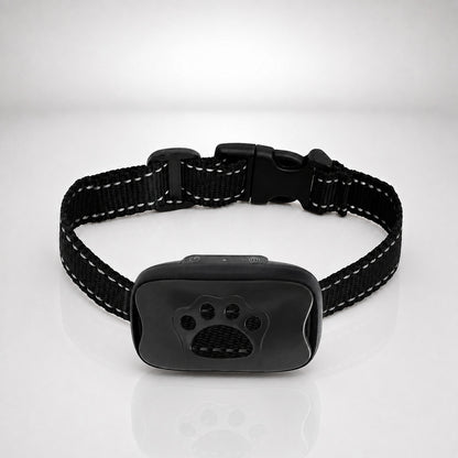 Collier anti aboiement chien noir sur fond studio gris clair