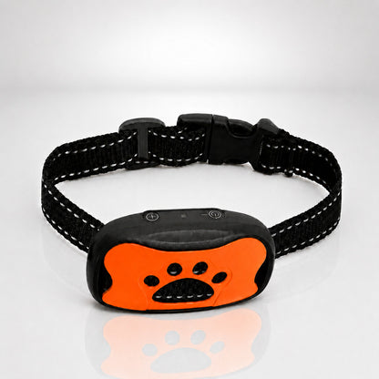 Collier anti aboiement chien orange sur fond studio clair